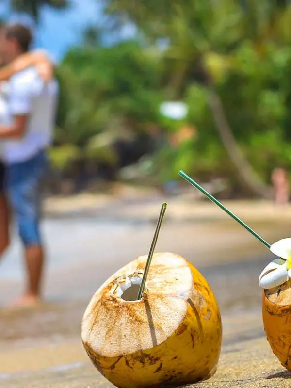 Intimate Sri Lanka Tour