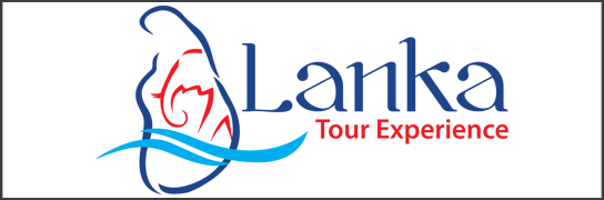 Logo LankaTourExperience