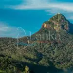 The sacred Sri Pada mountain. Adam's peak in Sri Lanka