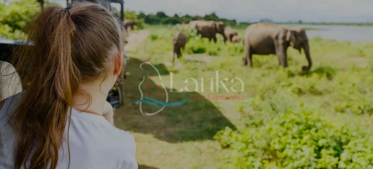 Family Safari 15D 14N | Sri Lanka Travel Guide | LankaTourExperience
