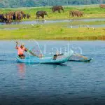 Local tank fisherman fishing on reservoir in Minneriya National Park