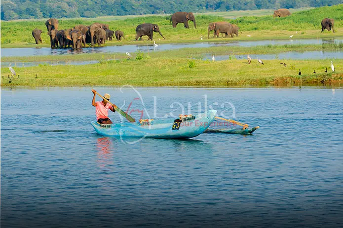 Local tank fisherman fishing on reservoir in Minneriya National Park