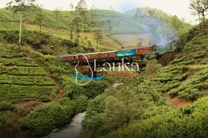 Unique view of Sri Lankan landscape during a scenic train ride from Kandy to Ella!